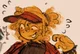 004 - ELLIOT