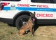 K 9 Unit Chicago PD