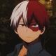 Shoto Todoroki
