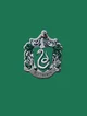 Slytherin boys