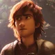 Hiccup Haddock