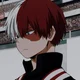 Shoto Todoroki