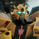Bumblebee -TFE-