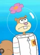 Sandy Cheeks 