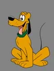 Pluto dog