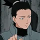 Shikamaru Nara BR