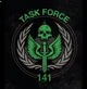 Task Force 141