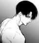 Levi Ackerman 