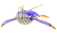 Wind Whale