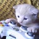 Online friend