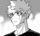 Katsuki Bakugou 