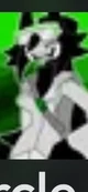 miss circle green 
