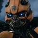 Bumblebee Pt Br
