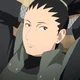 Shikamaru Nara