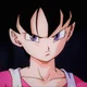 DBZ Videl