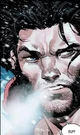 Wolverine 