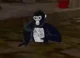 Run