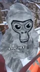 Banshee