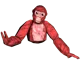 PBBV