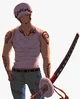 Trafalgar Law
