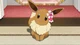 Female Eevee 