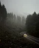 Tuidale Murders RP
