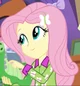 Twin Fluttershy 