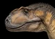 Yangchuanosaurus