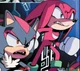 Knuckles and Shadow