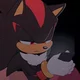 SHADOW T HEDGEHOG 