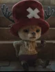Tony Tony Chopper