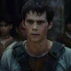 Thomas - Maze Runner