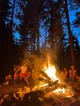 Camp