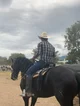 Vaquero Alejandro