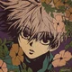 Killua