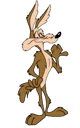 Wile E