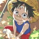Monkey D Luffy