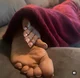 Giantess Wife Feet