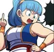 Bulma Briefs