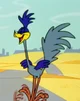 RoadRunner