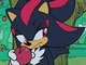 Shadow the Hedgehog