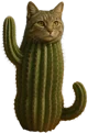 Meowito cactusito 