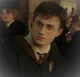 harry pott er