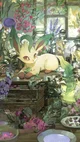 Pokemon Aventuras