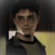 harry pott er