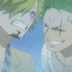 Zoro and Sanji 