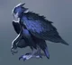 CROW HARPY - Sedric