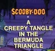Bermuda triangle RP