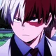 Todoroki Shoto