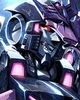 Tarn -IDW-